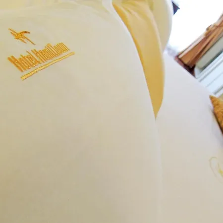哈米尔陶恩酒店 3*