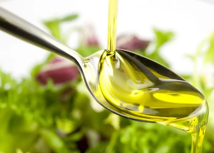 Hamiltown 호텔 카톨리카